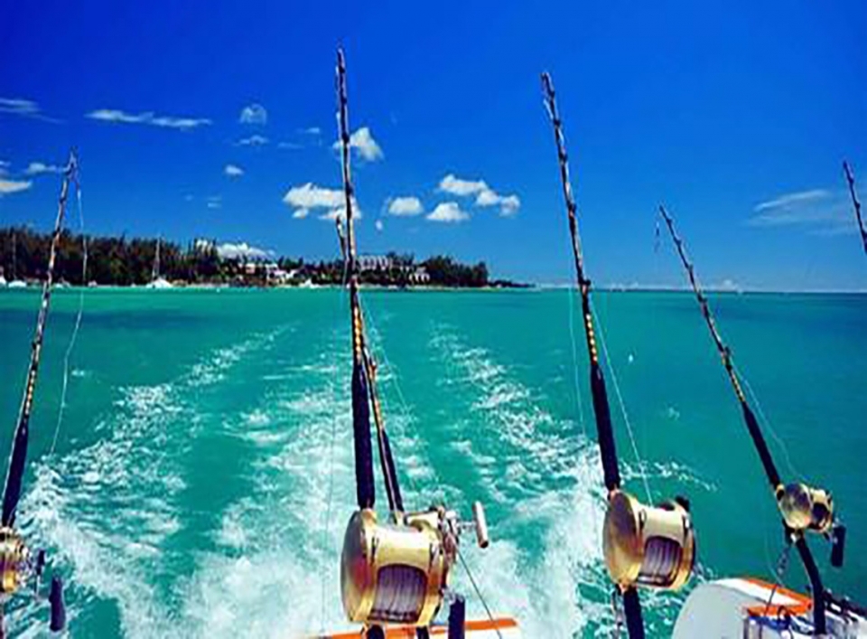 海钓活动(天/全天/每位)群英会运动俱乐部